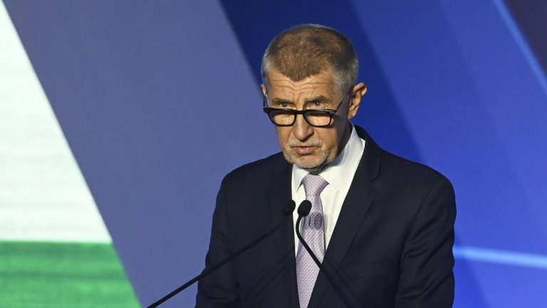 Eski Çek Başbakanı Babiš 7 milletvekilini çekti, liberallerin başı dertte