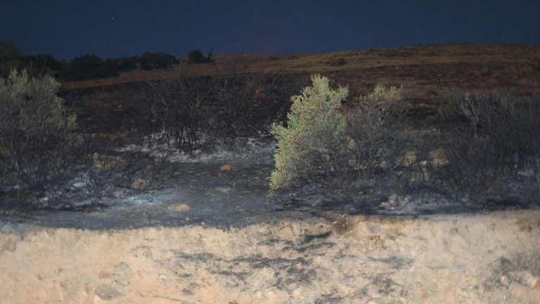 Kahramanmaraş’ta Akdeniz’deki çalılıklarda yangın – Son Dakika Haberi