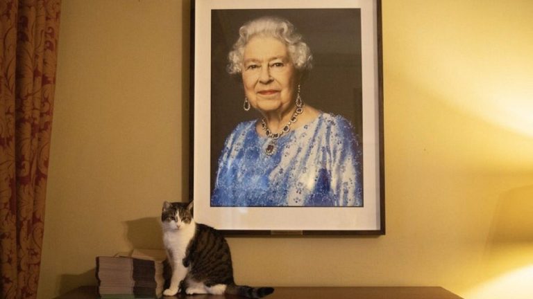 Downing Caddesi 10 numaranın patron faresi Larry, 13 yaşına girdi ve 6 başbakan atadı.