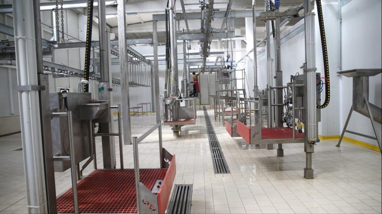 Mezbahalarda kameralara ihtiyaç var – Son haberler