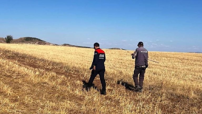AFAD ekipleri, Sivas’ta kaybolan koyunu buldu