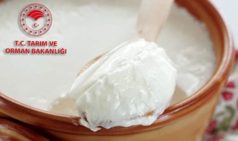 Bakanlık sahte besinlerin yeni listesini yayınladı: Köy yoğurdu gibi beslediler! – Türkiye'den son dakika haberleri