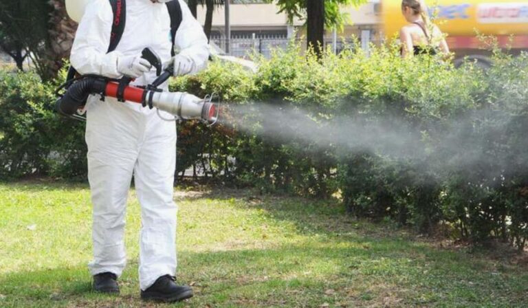 Ankara Böcek İlaçlama ile Sağlıklı ve Güvenli Yaşam Alanları