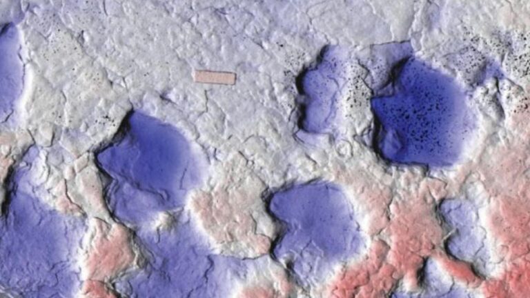 Kanada’da yeni bir tür zırhlı dinozor keşfedildi